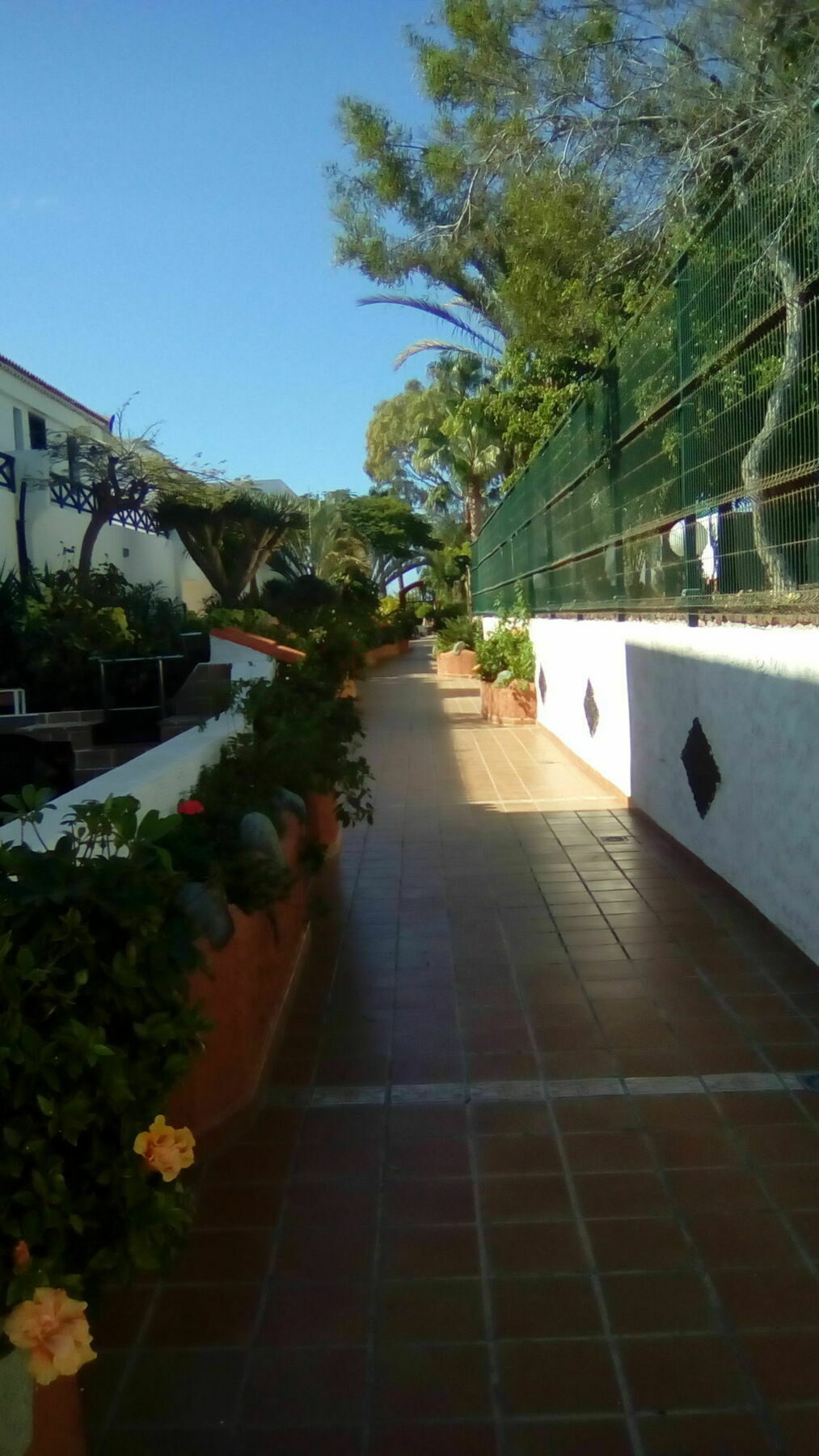 Parque Don Jose 110 Apartment Costa Del Silencio Exterior photo